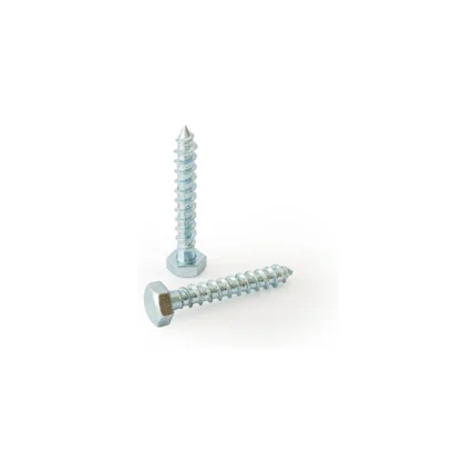 տրիֆոն բոլտի գլխով 8*80 00250