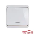 DS-108-1 անջատիչ լույսով 1 տեղ