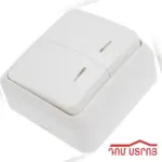 DS-108-2 անջատիչ լույսով 2 տեղ