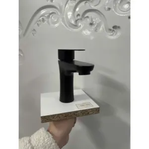 ծորակ ռակվինայի կլոր սև BT5