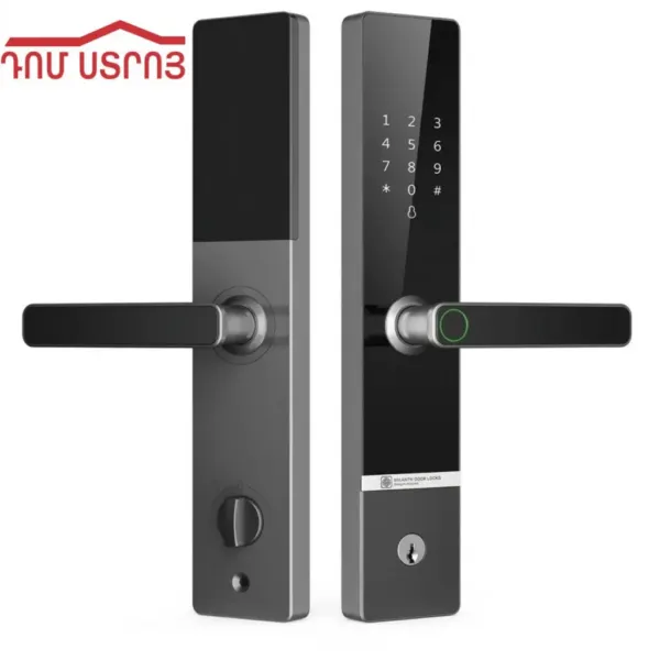 DS-98-3 դռան բռնակ էլեկտրոնային փականով A20 — Ապրանքի նկար 1
