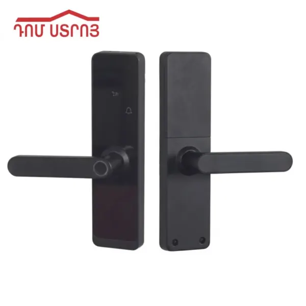 DS-98-4 դռան բռնակ էլեկտրոնային փականով — Ապրանքի նկար 1
