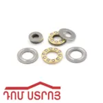 պաչևնիկ տափակ 090001