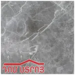 սալիկ KF 50*50 Aima Gray Matt 66645