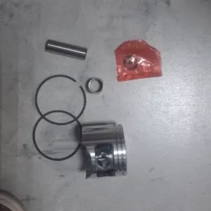 դռուժբի պորշին