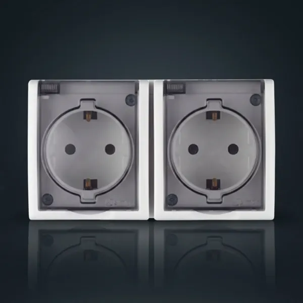 DS-97-25  վարդակ դրսի թափանցիկ կափարիչով  2 տեղ 199# — Ապրանքի նկար 1