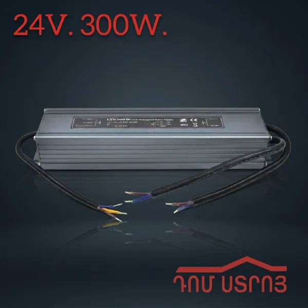 DS-100-29 հոսանքի փոխակերպիչ դրսի 24V 300W — Ապրանքի նկար 1