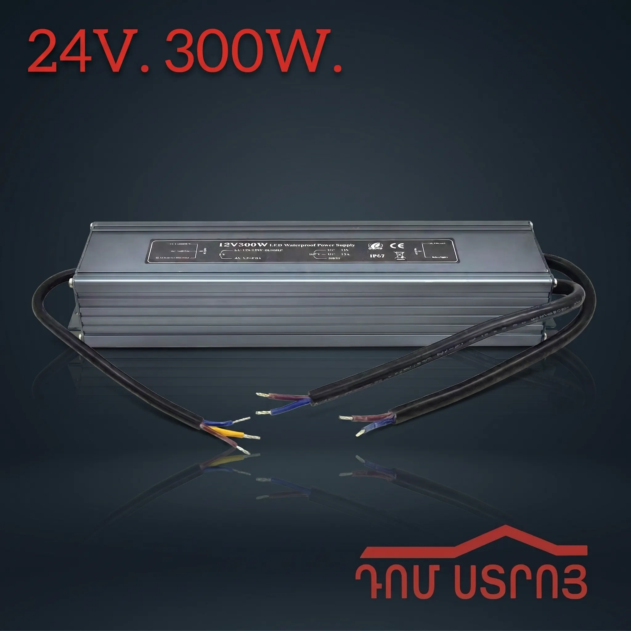 DS-100-29 հոսանքի փոխակերպիչ դրսի 24V 300W